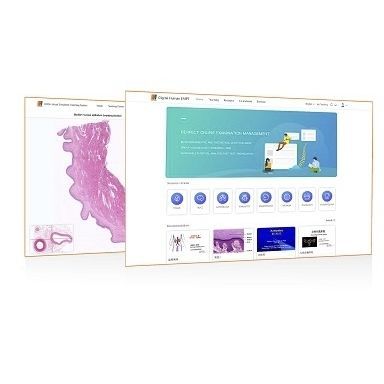 Software für Ausbildung - Shandong Digihuman Technology CO., Inc. - Navigation / Anatomie / für Histopathologie-Labor