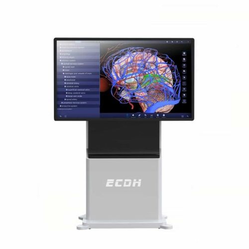 Infotainment-Terminal / mit Touchscreen - ECDH-Int 55 - Shandong Digihuman Technology CO., Inc.