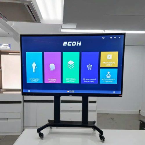 Infotainment-Terminal / mit Multi-Touch-Screen - ECDH-Int 86 - Shandong Digihuman Technology CO., Inc.