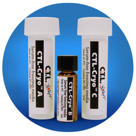 Reagenz / als Lösung - CTL  Wash™ 20x - Cellular Technology Limited - Kryokonservierung von Zellen