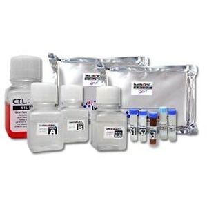 Reagenzkit / als Lösung - CTL-NCP1 - Cellular Technology Limited - für Zytologie