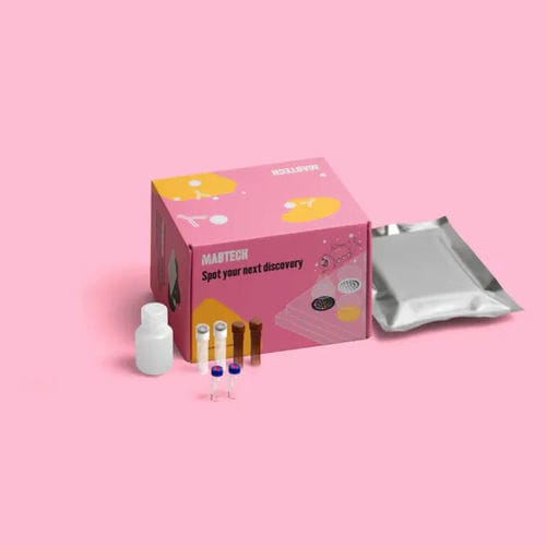 Testkit für Forschungszwecke - FSP-05R-S1-1 - Mabtech - Immunoglobuline / IgM / Immunglobulinklasse G