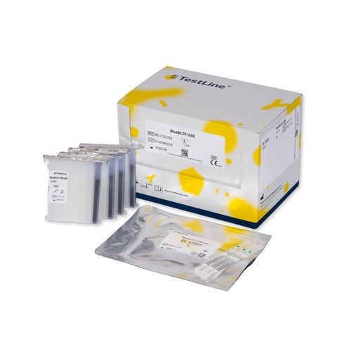 IgM-Testkit - BD-MyML24 - TestLine Clinical Diagnostics - Mycoplasma pneumoniae / Serum / Plasma