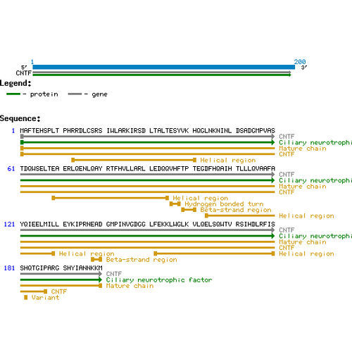 Wachstumsfaktor Reagenz - PR27005 - Neuromics - für wissenschaftliche Forschung / gefriergetrocknet / CNTF