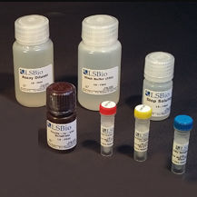 Testkit für Forschungszwecke - LS-K289 - LifeSpan BioSciences - Laktoseintoleranz / für Lebensmittel / Fluoreszenz
