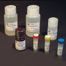 Testkit für Forschungszwecke - LS-K302 - LifeSpan BioSciences - für Medikamentenforschung / Glycerol / Triglycerid