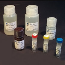 Kreatin-Kinase-Testkit - LS-K311 - LifeSpan BioSciences - für Forschungszwecke / Pharmakologie / Kreatin-Phosphokinase