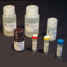Kreatinin-Testkit - LS-K318 - LifeSpan BioSciences - für Forschungszwecke / Pharmakologie / Albumin