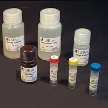 Äthanol-Testkit - LS-K299 - LifeSpan BioSciences - für Forschungszwecke / Pharmakologie / NAD