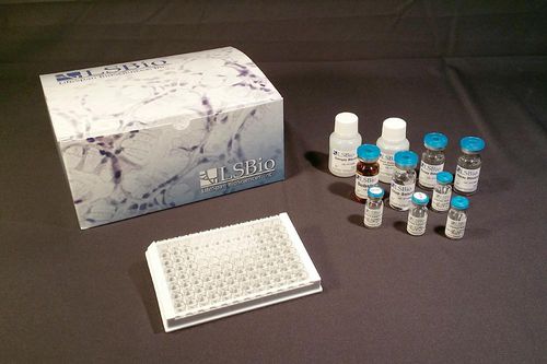 Testkit für Forschungszwecke - LS-F15895 - LifeSpan BioSciences - ELISA / Farbmetrik / gefriergetrocknet