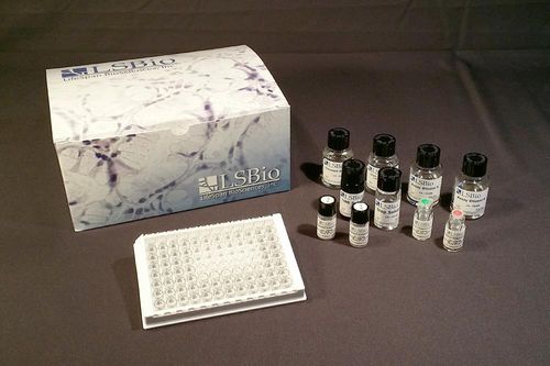 Testkit für Forschungszwecke - LS-F33752 - LifeSpan BioSciences - Serum / Plasma / Gewebe