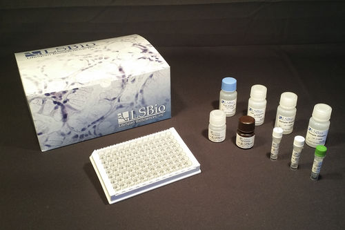 Testkit für Forschungszwecke - LS-F54458 - LifeSpan BioSciences - Serum / Plasma / Gewebe