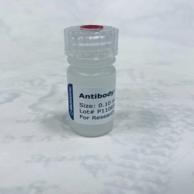 Polyklonale Antikörper - CAU21006 - Biomatik - für Forschungszwecke / flüssig / Protein