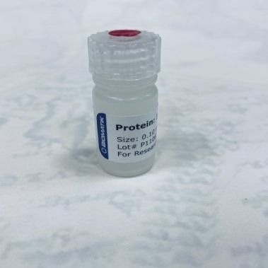 Reagenz / als Lösung - RPU40005 - Biomatik - für Forschungszwecke / gefriergetrocknet / Protein
