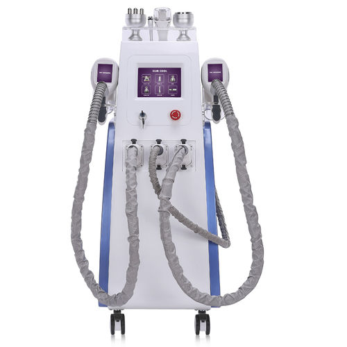 Kryolipolyse-Einheit - EB-WL4-1 - Xiamen ELOS Photoelectric - auf Wagen