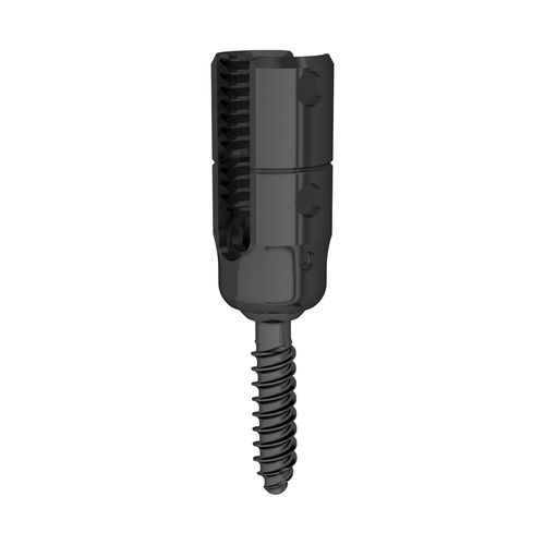 HWS-Pedikelschraube - 323344-5 - Boneunion Medical - polyaxial / Titan