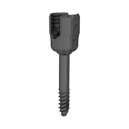 HWS-Pedikelschraube - 323337 series - Boneunion Medical - polyaxial / Titan