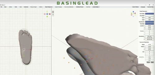 3D-Druck-Software - CAD/CAM Design Software - BASINGLEAD - medizinisch / CAD / für orthopädisches Einlegesohlendesign