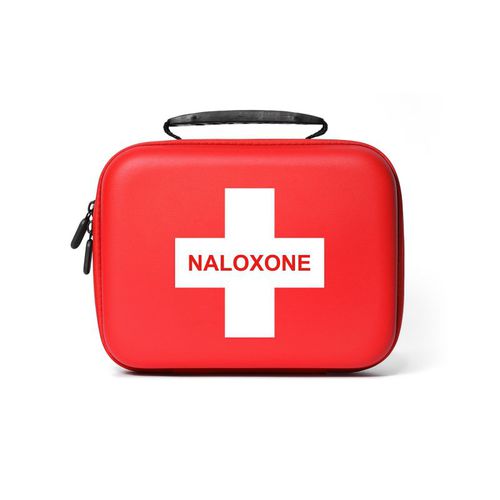 Erste-Hilfe-Notfallkoffer - FN1 - Shenzhen WAP-health Technology - für Medikamente / mit Griff / nach Maß