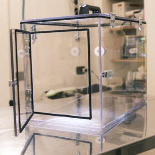 Veterinäranästhesie-Induktionskammer - Box Easy Enter - Alfaplex - für Säugetiere / für Mäuse / für Ratten