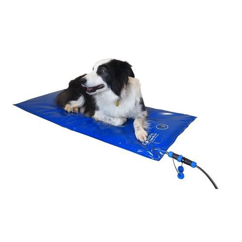 Matratze für Veterinärmedizin - CarbonTech V2 - Mano Medical - für OP-Tisch / für Untersuchungstische / PVC