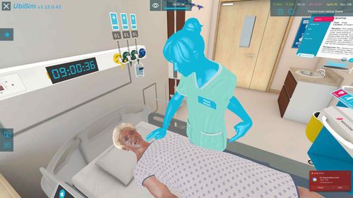 Virtual-Reality-Software - Angina - UbiSim - Ausbildung / medizinisch / für kardiovaskuläre Chirurgie