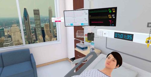 Medizinische Software - UbiSim - für geburtshilfliche Untersuchungen / Ausbildung / Simulation