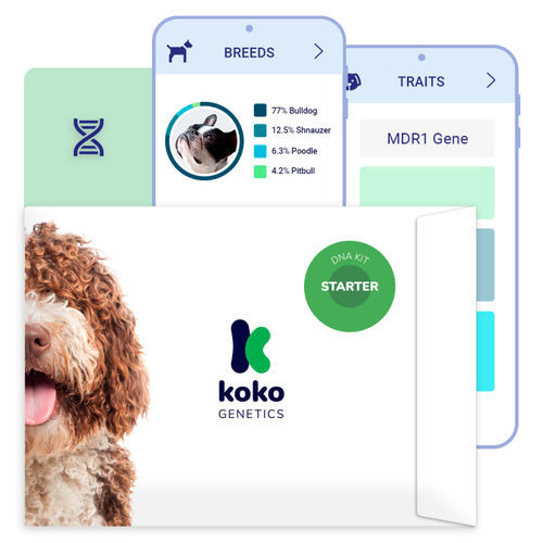 Testkit / genomische DNA - GENELINK S.L. - für Veterinärmedizin / für Hunde / Gene