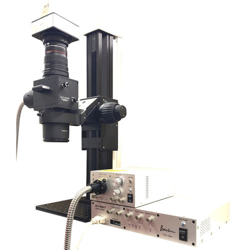 Optisches Mikroskop-Modul - THT Mesoscope - Brainvision - SciMedia - Labor / biologisch / aufrecht