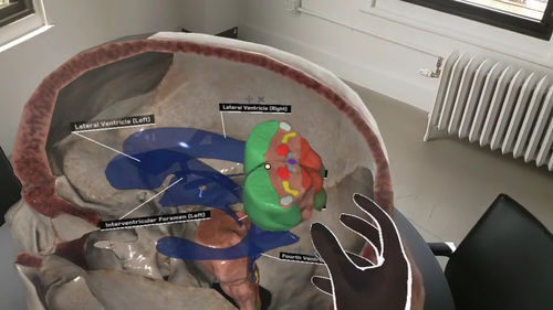 Immersive Virtual-Reality-Plattform - AnatomyX® - MEDIVIS - medizinisch / für medizinische Ausbildung