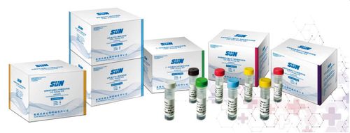 Testkit / Hepatitis B - Sun Medical Products - Viren / Serum / Oberflächen