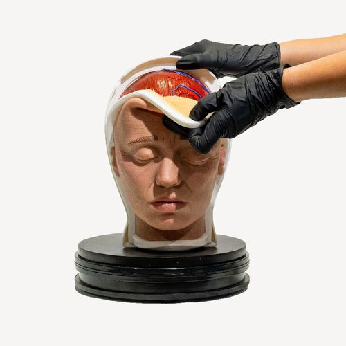 Trainingssimulator - Relamed simulators - chirurgisch / Kopf