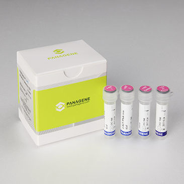 Testkit für Krebserkrankungen - PNAClamp™ - HLB PANAGENE Co., Ltd. - Onkologie / Gewebe / für Echtzeit-PCR