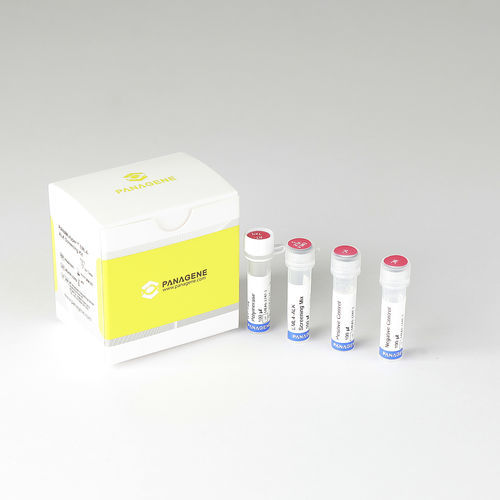 Lungenkrebs-Schnelltest - PANAMutyper™ - HLB PANAGENE Co., Ltd. - EML4-ALK-Fusionsgen / FFPE-Gewebe
