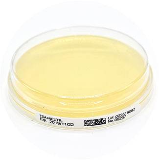 Petrischale mit Agar - 15336S - Liofilchem S.r.l.