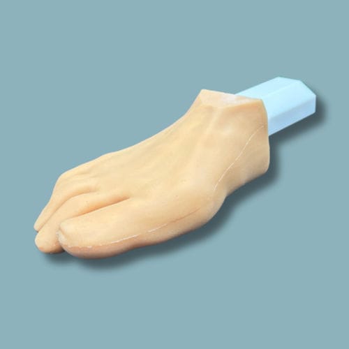Anatomisches Modell / Haut - 01-11-01 - ADDIDREAM - Fuß / für minimalinvasive Chirurgie / für orthopädische Chirurgie