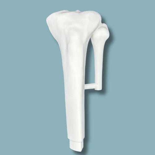 Anatomisches Modell / Tibia - 03-13-02 - ADDIDREAM - Chirurgie / Ausbildung / Traumazustände