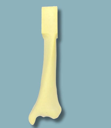 Anatomisches Modell / Tibia - 03-15-01 - ADDIDREAM - Ausbildung / Schaumstoff / gelb
