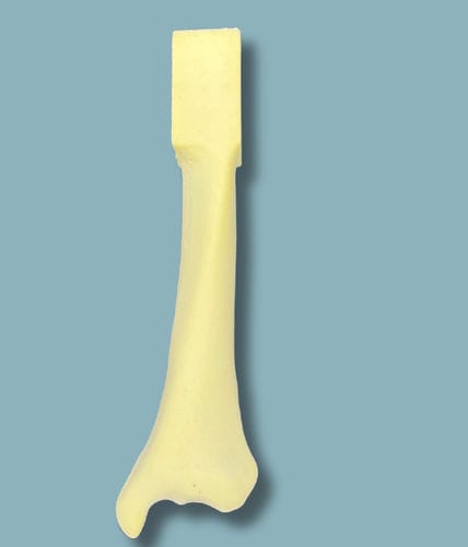 Anatomisches Modell / Tibia - 03-16-01 - ADDIDREAM - Chirurgie / Ausbildung / Schaumstoff