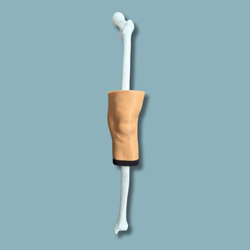 Anatomisches Modell / Knie - 04-13-01 - ADDIDREAM - Haut / Chirurgie / Ausbildung