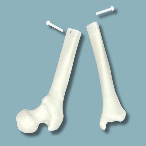 Anatomisches Modell / Knie - 04-11-02 - ADDIDREAM - Ausbildung / Kunststoff / weiß