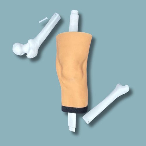 Anatomisches Modell / Knie - 04-10-01 - ADDIDREAM - Tibia / Oberschenkelknochen / Chirurgie