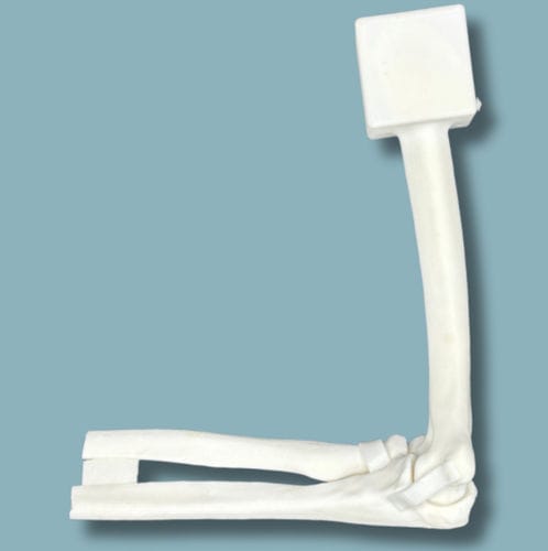 Anatomisches Modell / Ellbogen - 14-01-01 - ADDIDREAM - Chirurgie / Ausbildung / Kunststoff