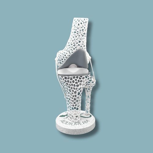 Anatomisches Modell / Knie - 04-AD-01 - ADDIDREAM - Tibia / Oberschenkelknochen / für Vorführzwecke