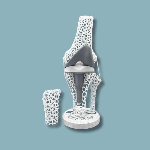 Anatomisches Modell / Knie - 04-AF-01 - ADDIDREAM - Tibia / Oberschenkelknochen / für Vorführzwecke