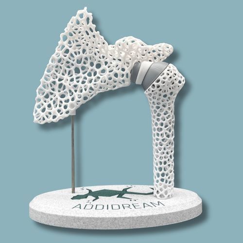 Anatomisches Modell / Schulter - 17-S-04-11 - ADDIDREAM - Humerus / für Vorführzwecke / Kunststoff