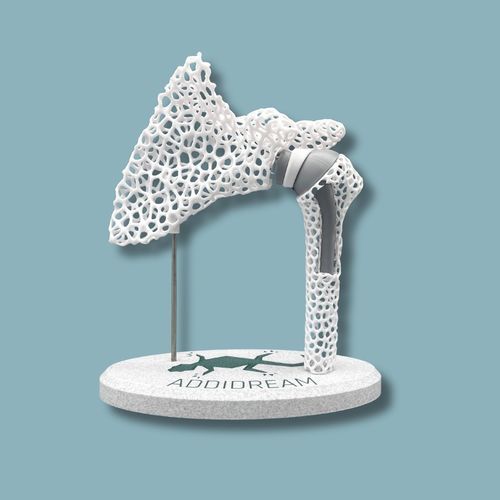 Anatomisches Modell / Schulter - 17-AE-01 - ADDIDREAM - Humerus / für Vorführzwecke / Kunststoff