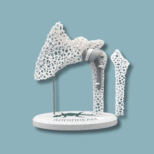 Anatomisches Modell / Schulter - 17-AF-01 - ADDIDREAM - Humerus / für Vorführzwecke / Kunststoff