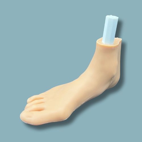 Anatomisches Modell / Fuß - 02-06-02 - ADDIDREAM - Haut / für orthopädische Chirurgie / Ausbildung