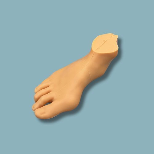 Anatomisches Modell / Knochen - 01-27-01 - ADDIDREAM - Fuß / für minimalinvasive Chirurgie / Ausbildung
